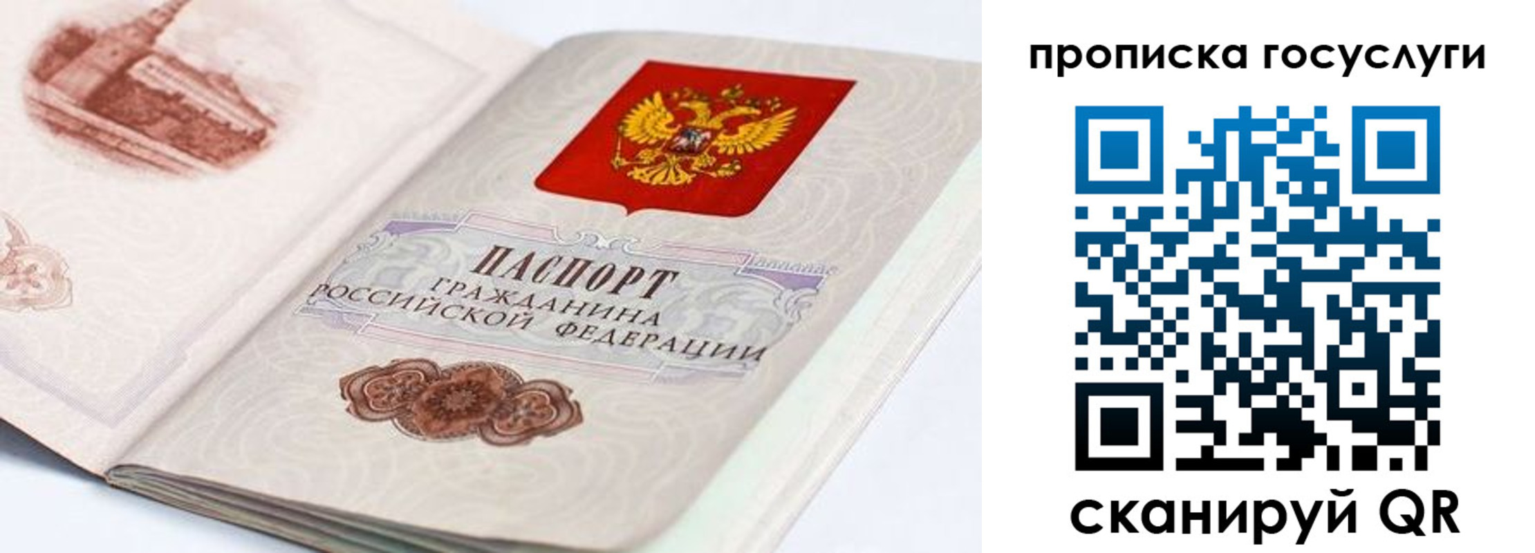 прописка регистрация в Приморском крае